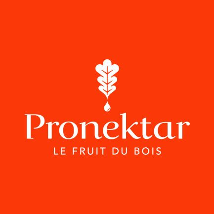 logo pronektar